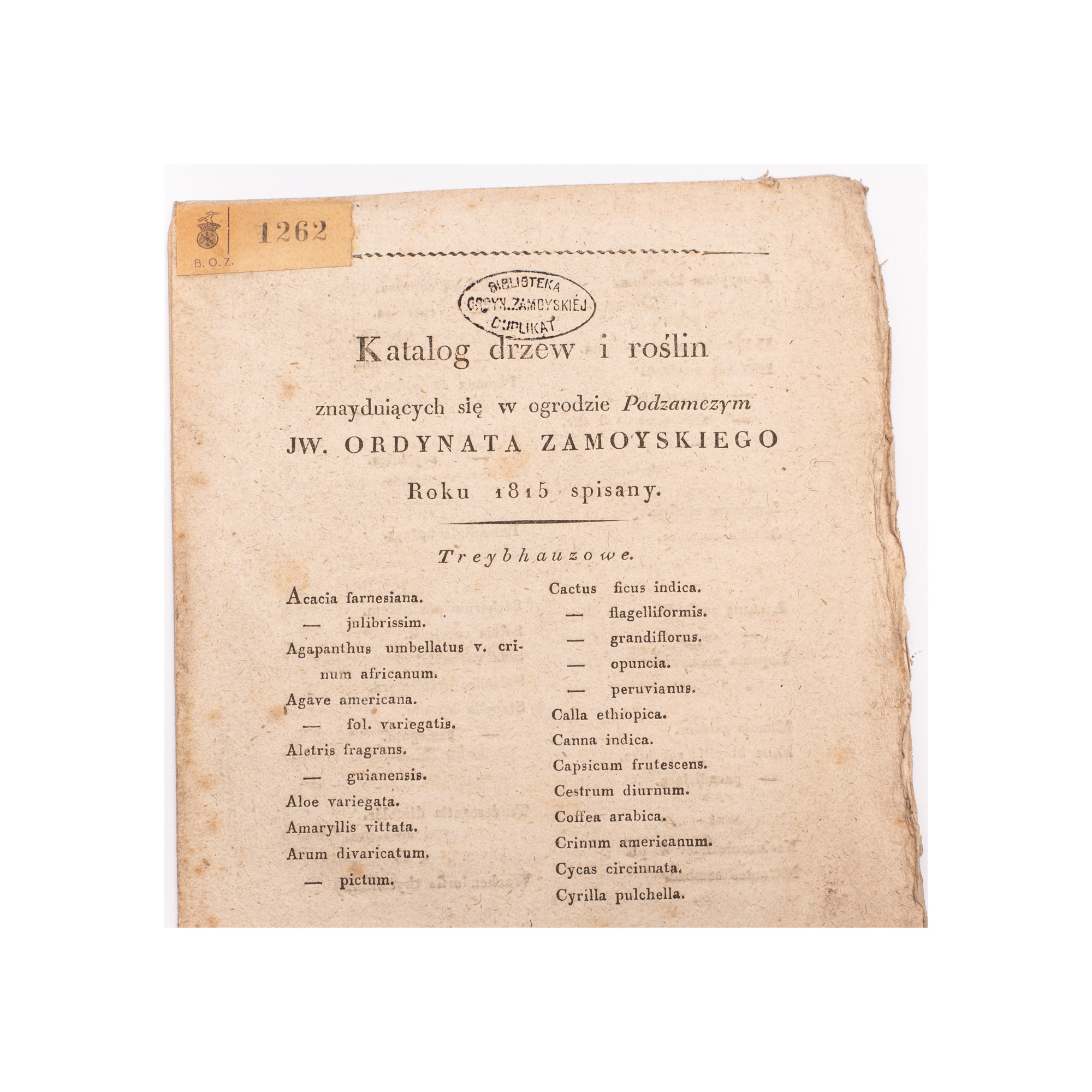 KATALOG DRZEW i roślin znayduiących się w ogrodzie Podzamczym JW. Ordynata Zamoyskiego, [b.m.] nie przed 1815