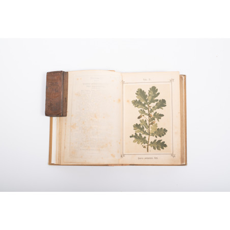 KNEIPP S., Zielnik czyli Atlas roślin leczniczych znachodzących się w Kneippa Aptece domowej, Kempton 1894