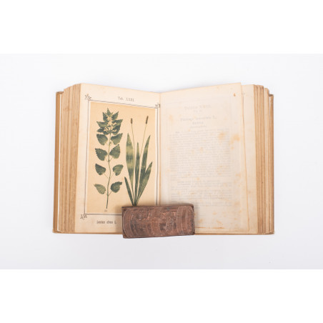 KNEIPP S., Zielnik czyli Atlas roślin leczniczych znachodzących się w Kneippa Aptece domowej, Kempton 1894