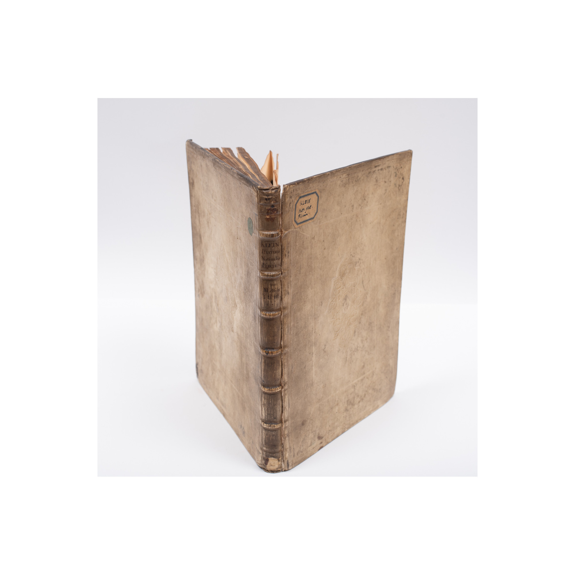 KLEIN J.Th., Historia piscium naturalis. Missus I–III, Gedani 1740-1742