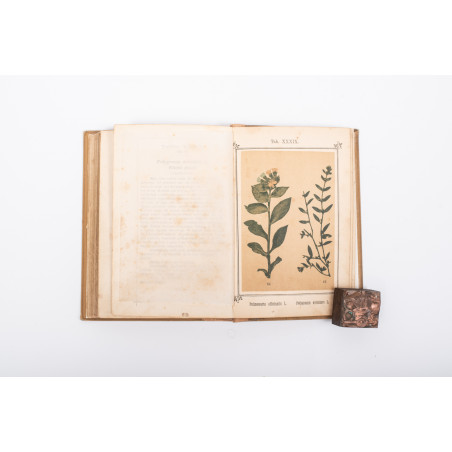 KNEIPP S., Zielnik czyli Atlas roślin leczniczych znachodzących się w Kneippa Aptece domowej, Kempton 1894