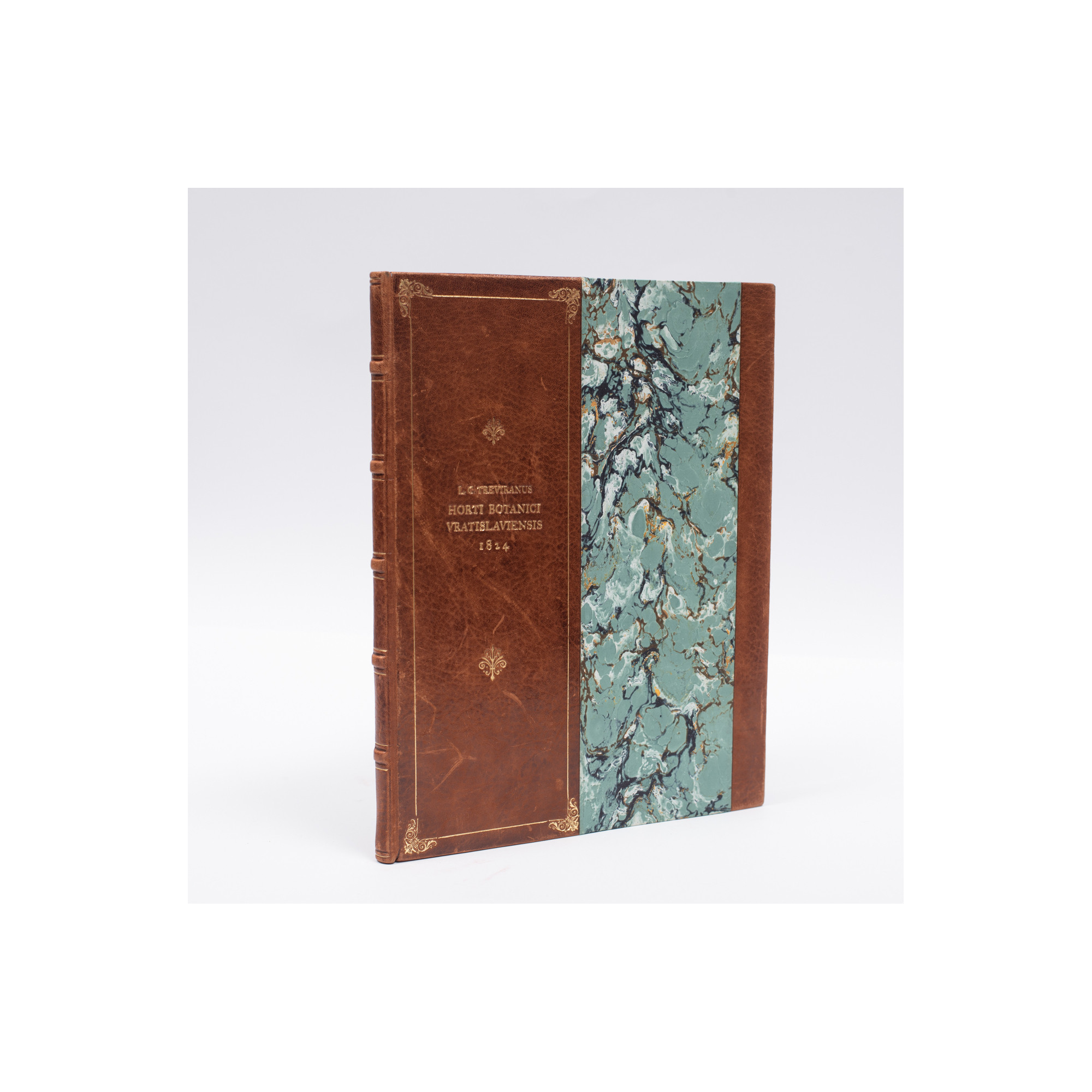 TREVIRANUS L.C., Horti botanici Vratislaviensis plantarum vel novarum vel minus cognitarum, [b.m.] 1824