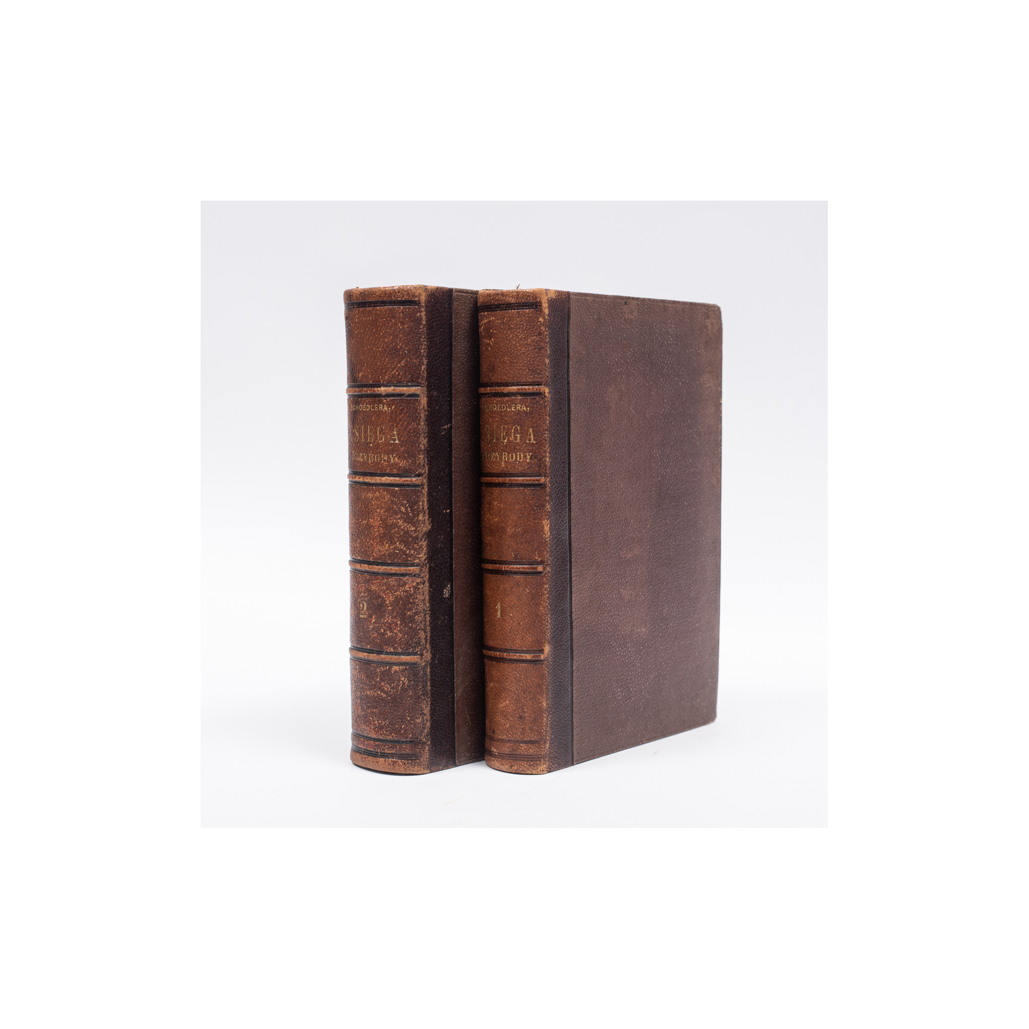 SCHOEDLER F., Księga przyrody ... wykład fizyki, astronomii, chemii, botaniki, zoologii, Warszawa 1871-1874