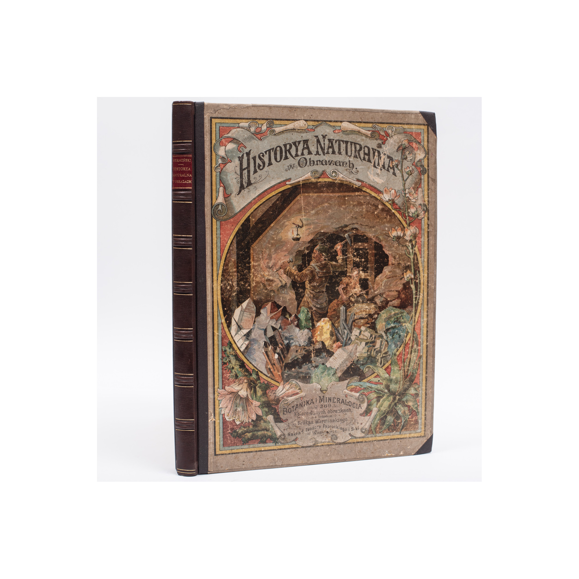WERMIŃSKI F., Historia naturalna w obrazach. Botanika i mineralogia,  Warszawa 1893