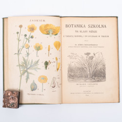 ROSTAFIŃSKI J., Botanika szkolna na klasy niższe z tablicą barwną, Kraków 1899
