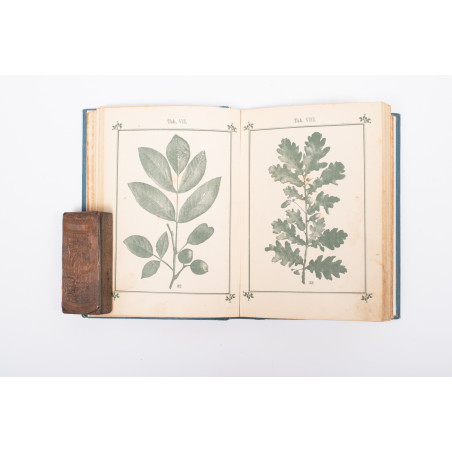 KNEIPP S., Zielnik czyli Atlas roślin leczniczych znachodzących się w Kneippa Aptece domowej, Kempten 1892