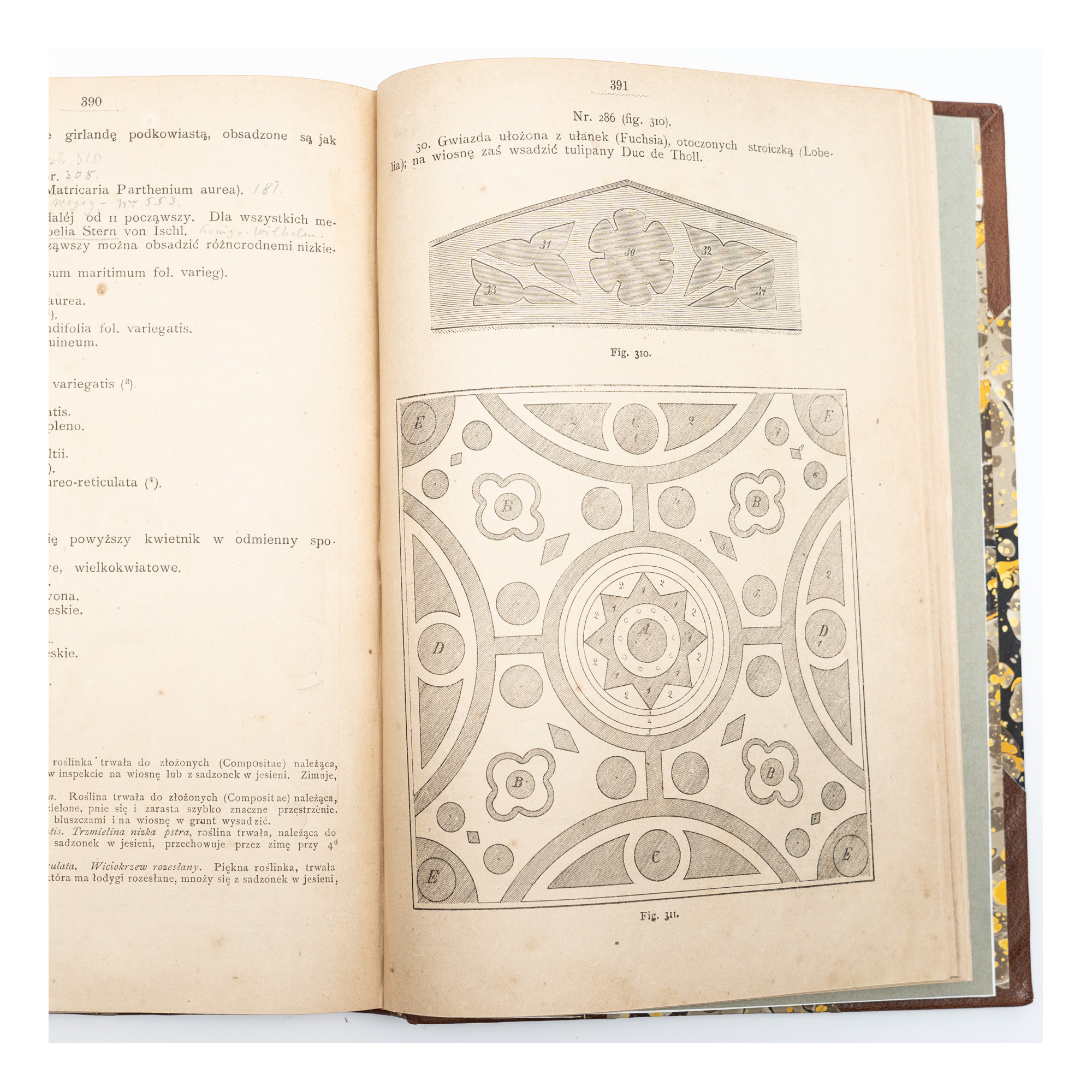 JANKOWSKI E., Kwiaty naszych ogrodów, Warszawa  1877