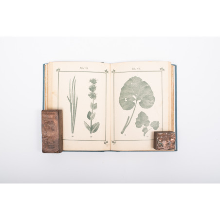 KNEIPP S., Zielnik czyli Atlas roślin leczniczych znachodzących się w Kneippa Aptece domowej, Kempten 1892