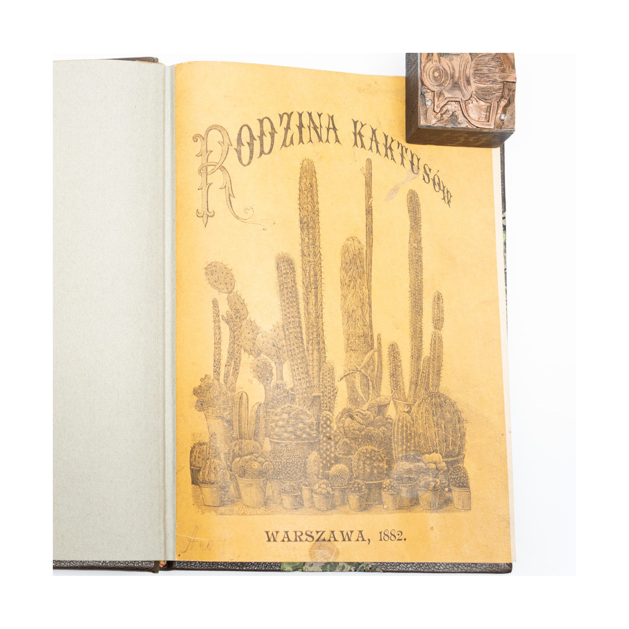 BERGER J., Rodzina kaktusów opisana i w systematycznym porządku przedstawiona, Warszawa  1882
