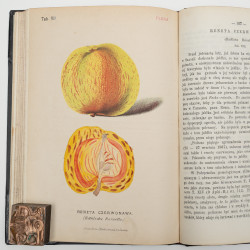 FLORA. Czasopismo botaniczno–ogrodnicze. Organ Lwowskiego Towarzystwa. I-VI,  1870