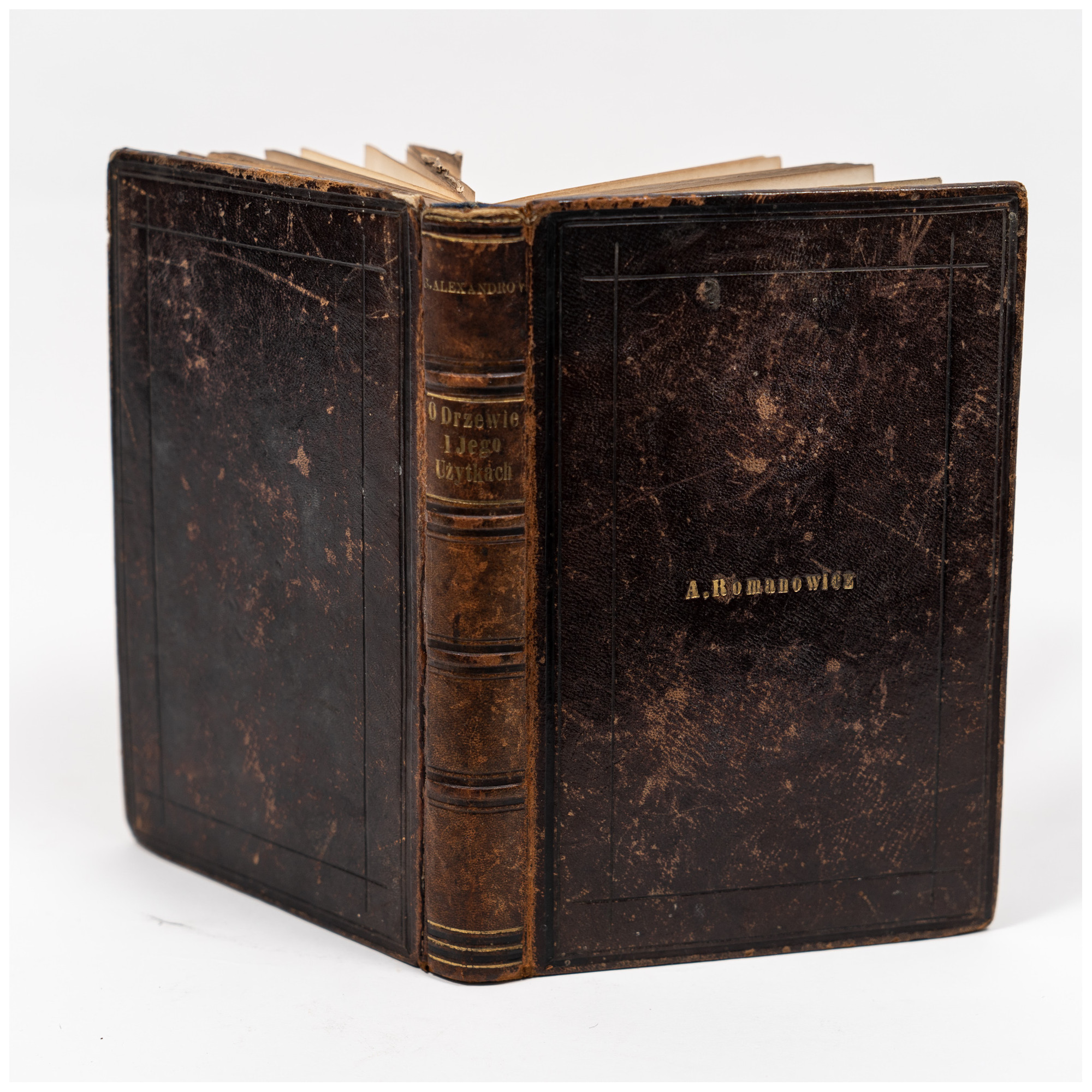 ALEXANDROWICZ B., O drzewie i jego użytkach, Warszawa 1855