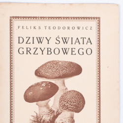 TEODOROWICZ F., Dziwy świata grzybowego. Z 50 rysunkami wg akwarel z natury art. malarzy, Warszawa 1928