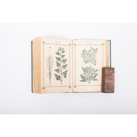 KNEIPP S., Zielnik czyli Atlas roślin leczniczych znachodzących się w Kneippa Aptece domowej, Kempten 1892