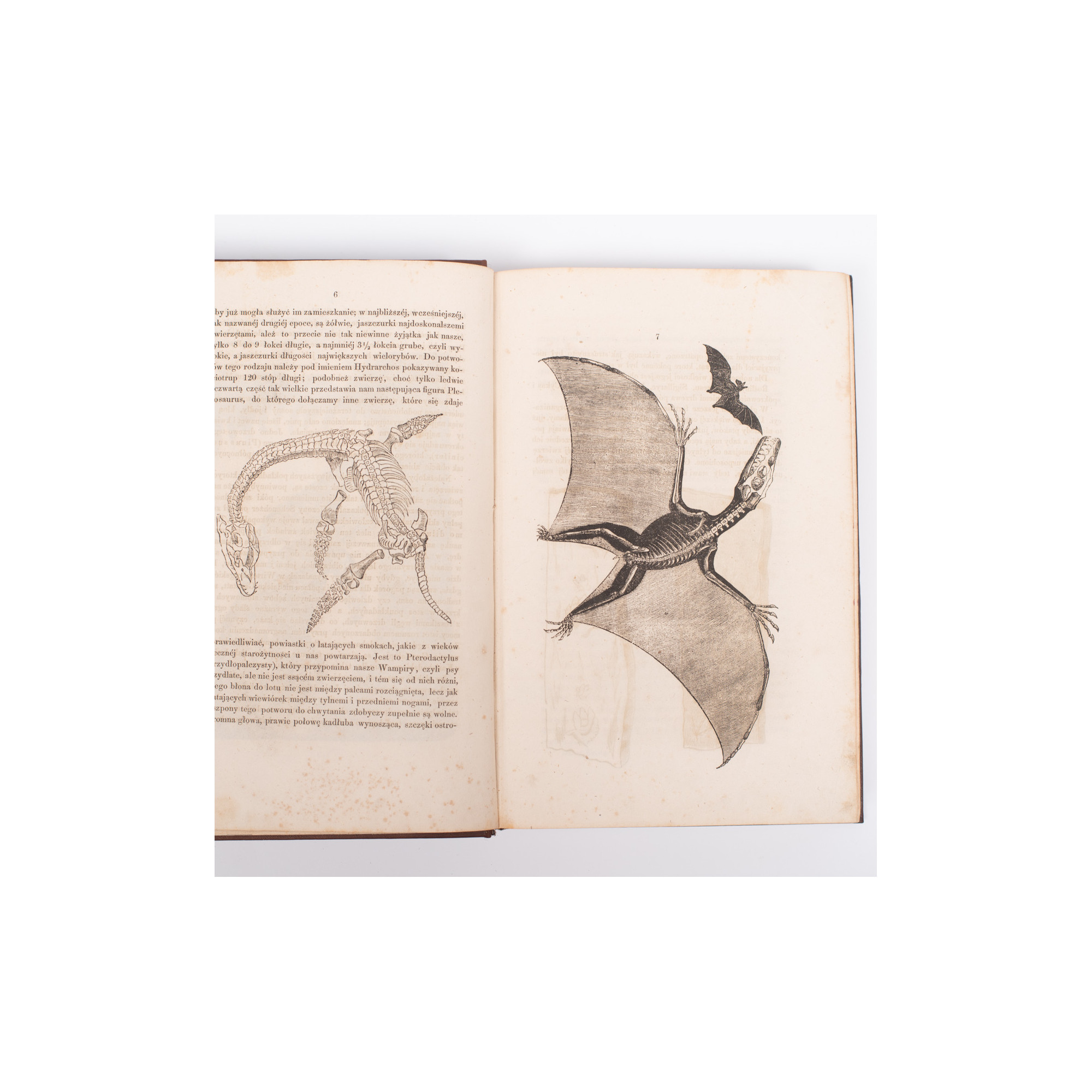 ZIMMERMANN W.F.A., Dziwy świata pierwotnego czyli kolebka wszech-świata, Warszawa 1857