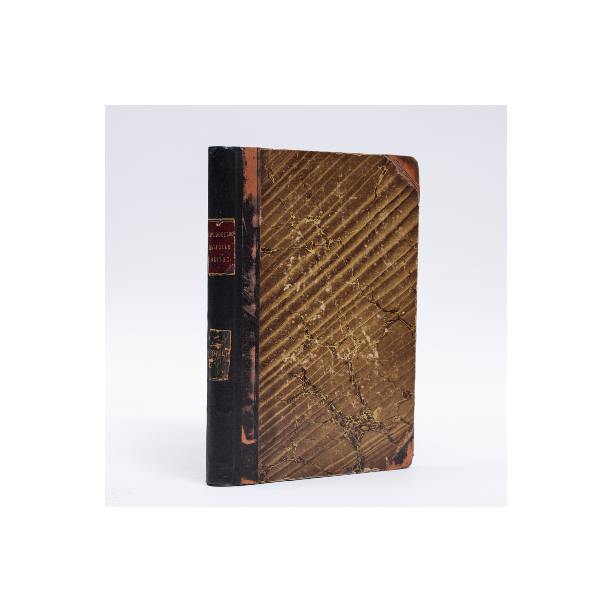 NOWICKI-SIŁA M., Enumeratio lepidopterorum Haliciae orientalis, Leopoli 1860