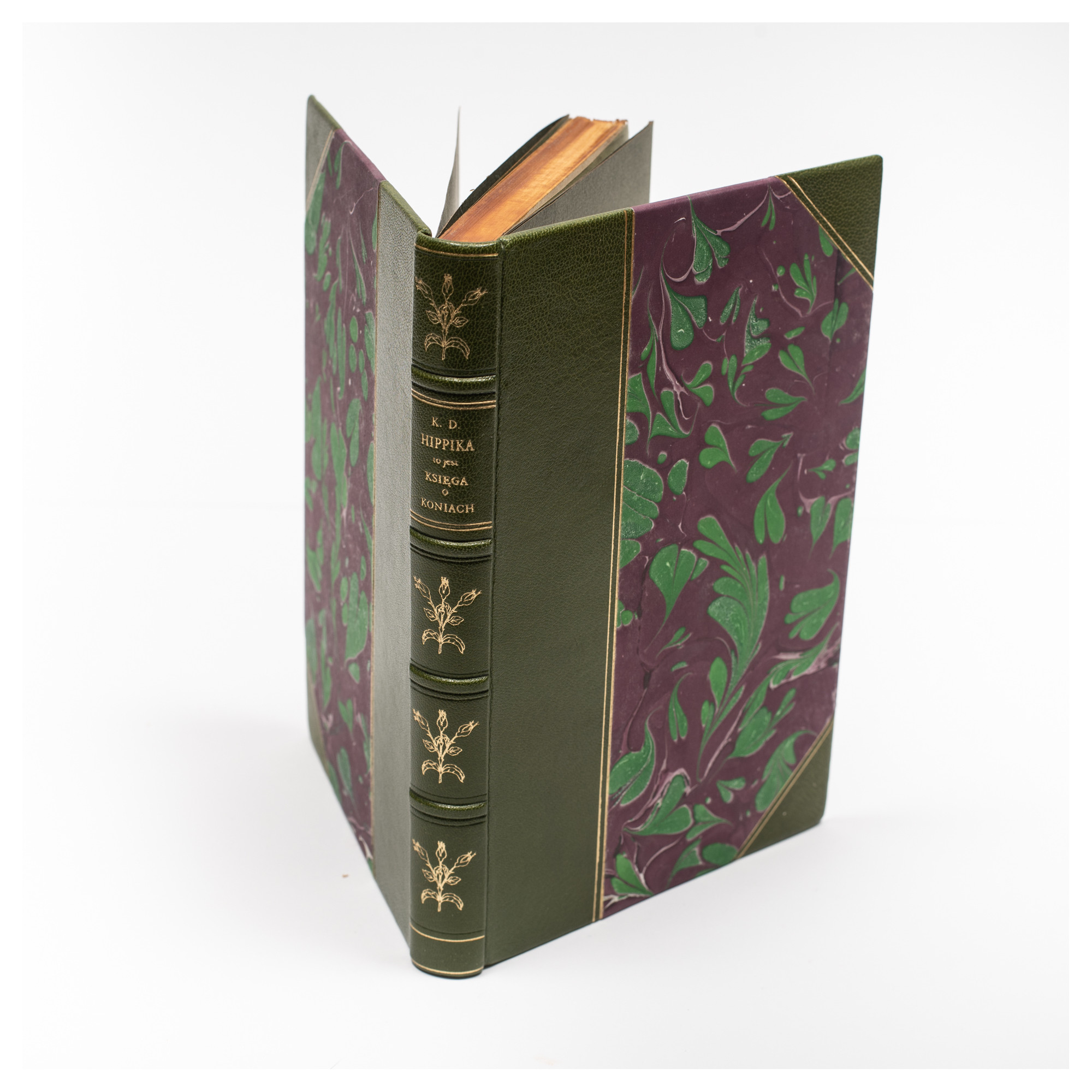 DOROHOSTAJSKI K., Hippika to jest księga o koniach, Kraków 1861