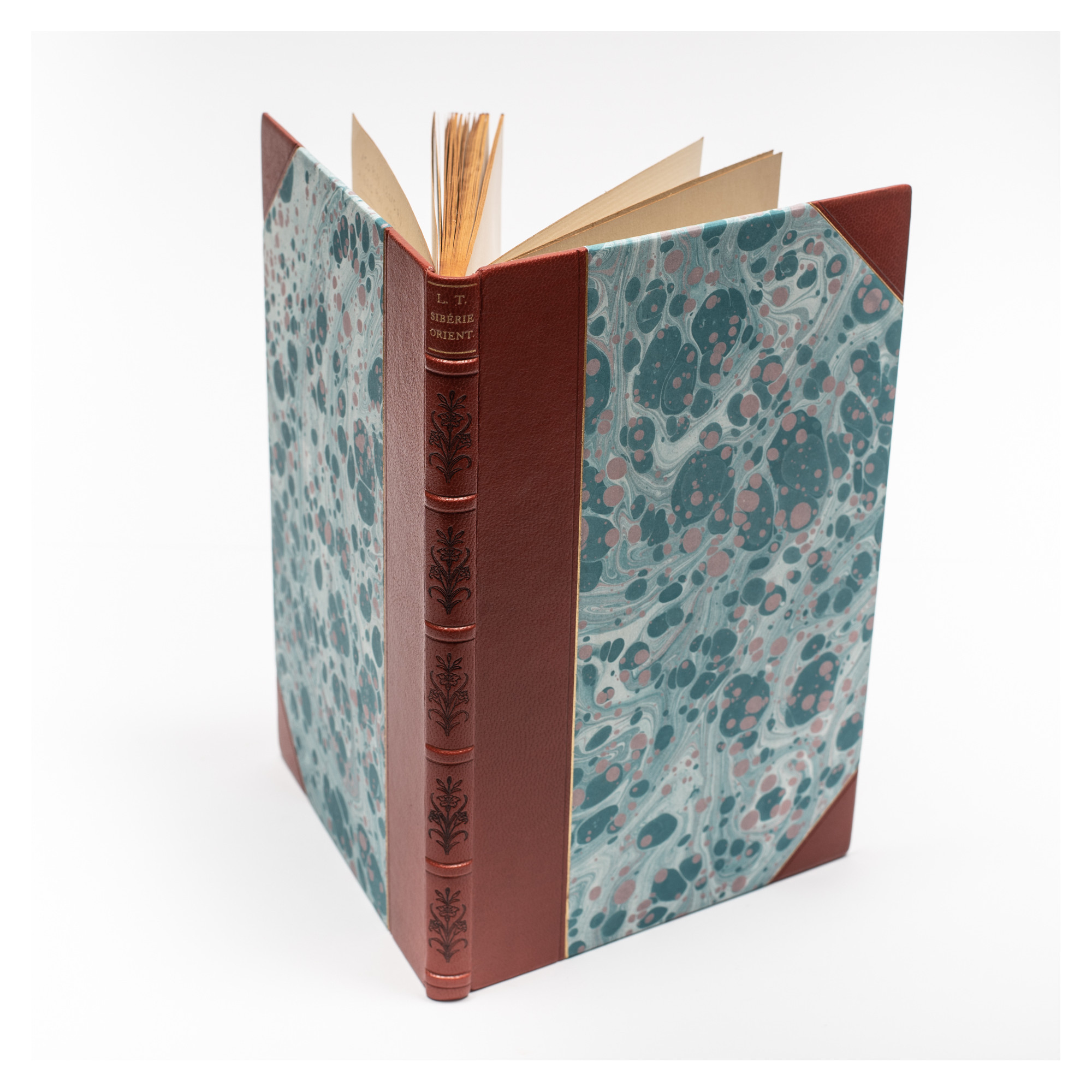 TACZANOWSKI W., Revue critique de la faune ornitologique de la Siberie orientale, 1876