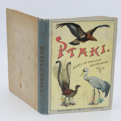 SCHLEYER A., Atlas ptaków. 30 tablic barwnych, Warszawa  1914