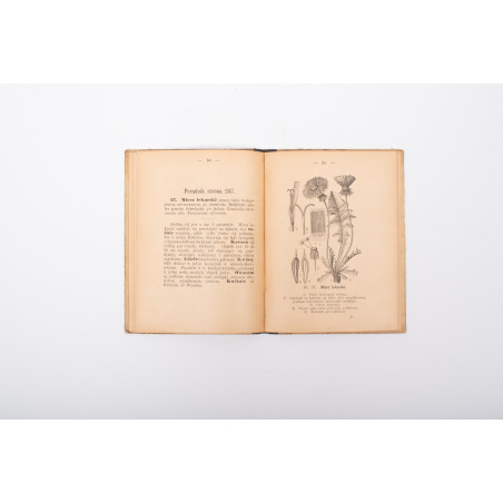 KNEIPP S., Zielnik czyli dokładny opis ziół leczniczych, Poznań 1892