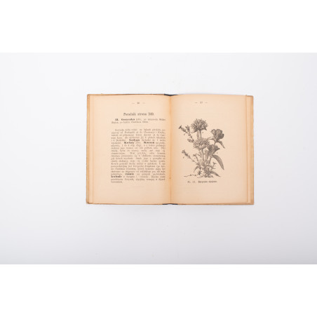 KNEIPP S., Zielnik czyli dokładny opis ziół leczniczych, Poznań 1892