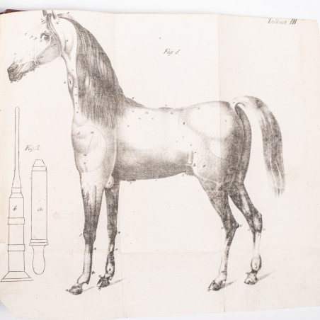 [WAGENFELD J.L.], Nauka leczenia zwierząt domowych. Z niem. przeł. T. Łyszkowski, Warszawa 1840