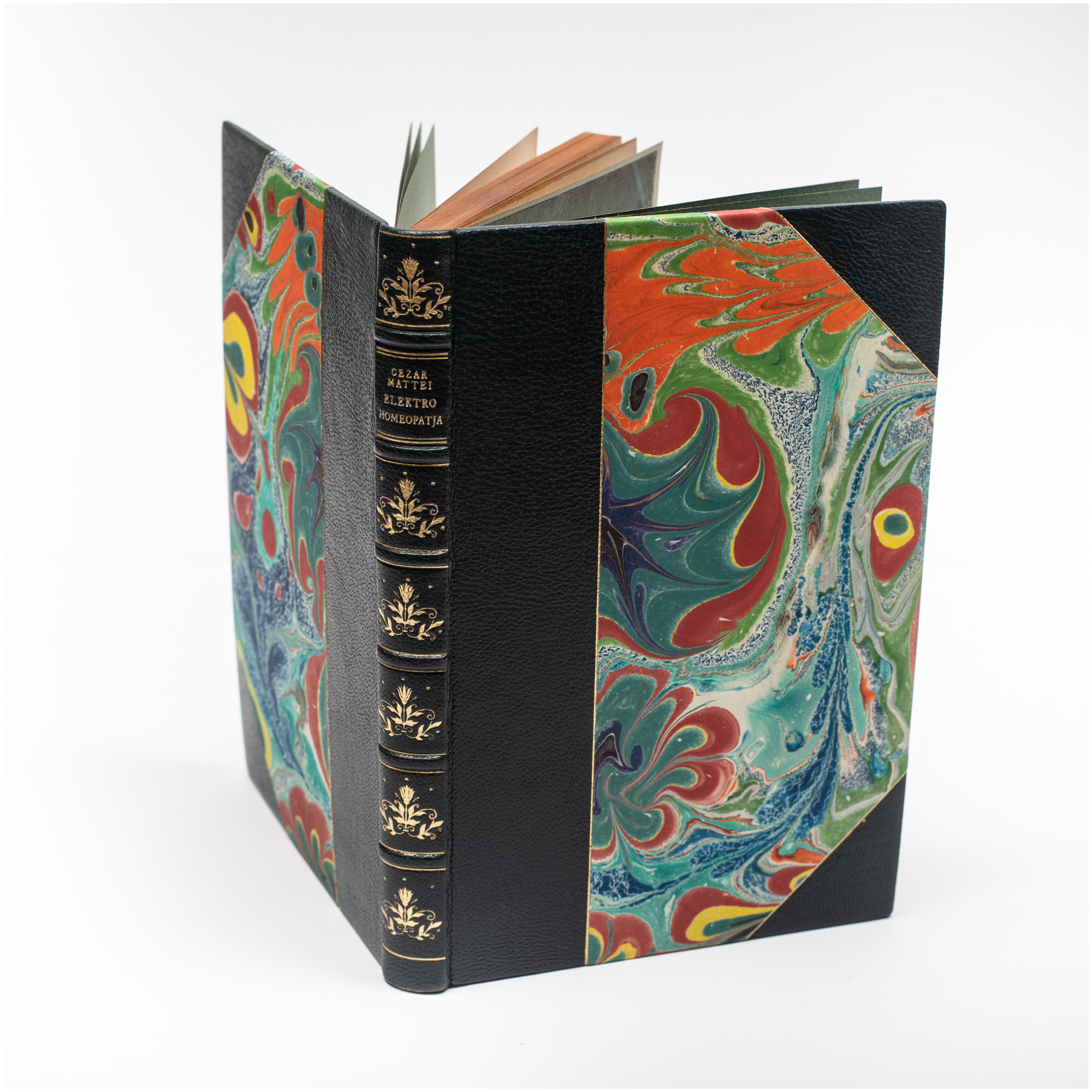 MATTEI C. hr., Elektro homeopatja. Zasady nowej umiejętności oraz wskazówki leczenia, Kraków 1892