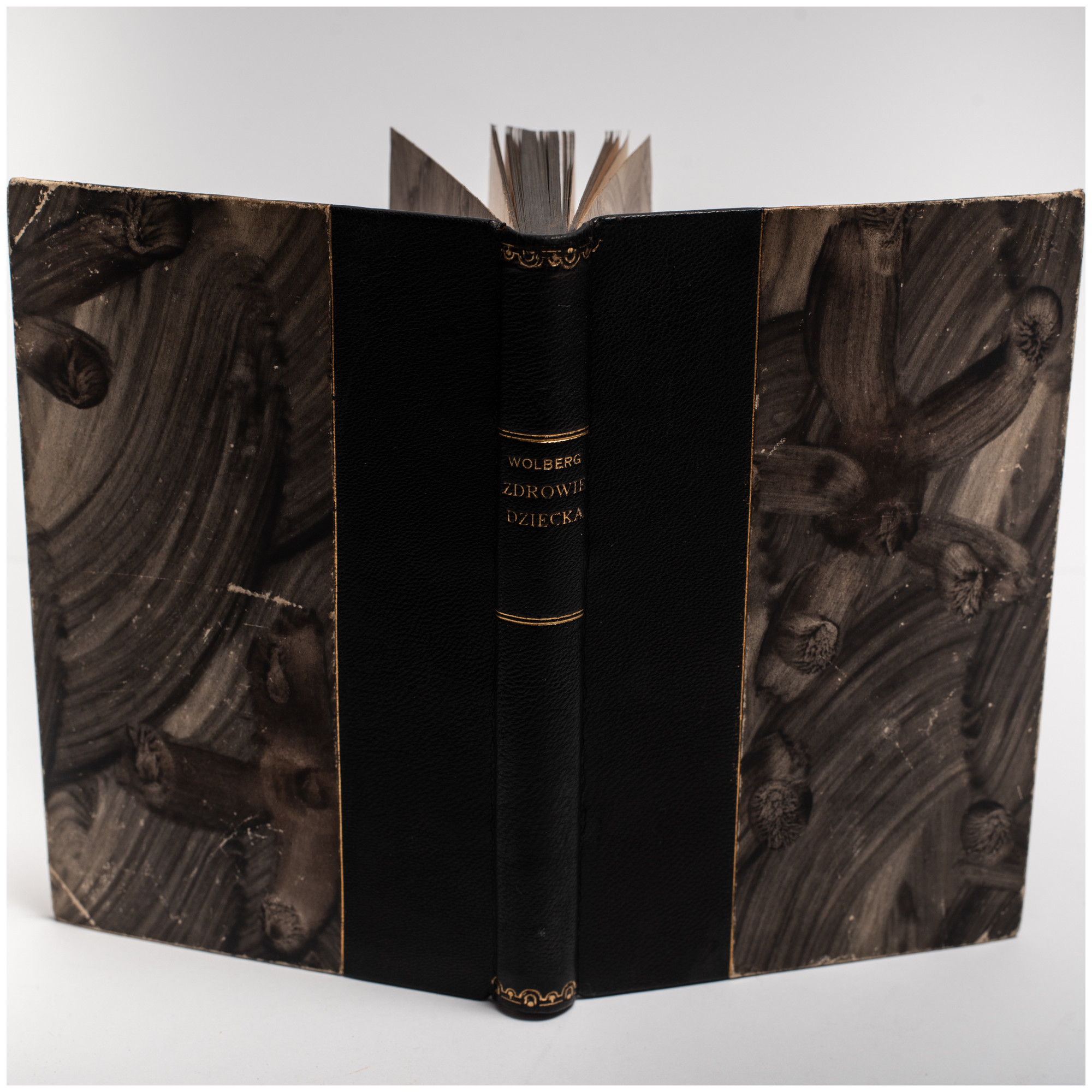 HOCHSINGER K., WOLBERG L., Zdrowie dziecka. Przewodnik dla rodziców, Warszawa 1901