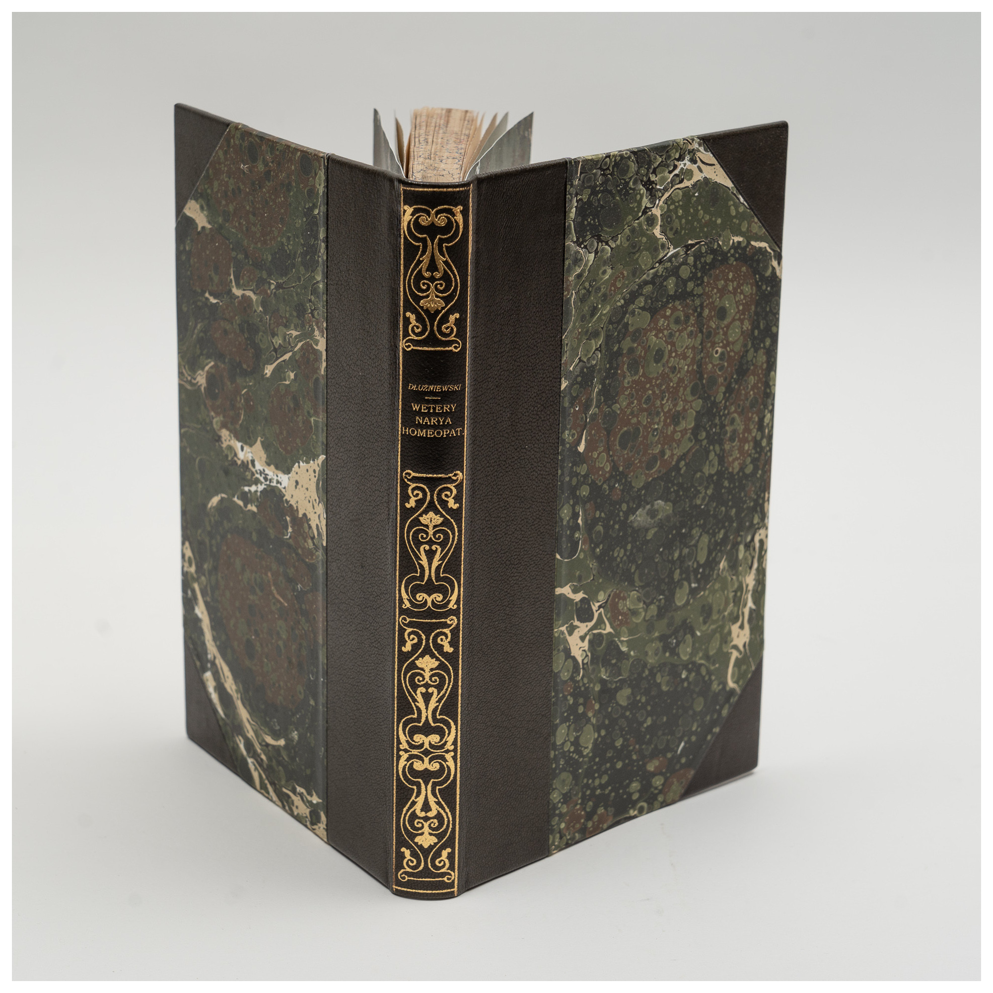 DŁUŻNIEWSKI M., Weterynarya homeopatyczna, Lwów 1864