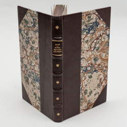 MATTEI C. hr, Nowa elektro-homeopatyczna metoda leczenia. Przez J.B., Wilno 1879