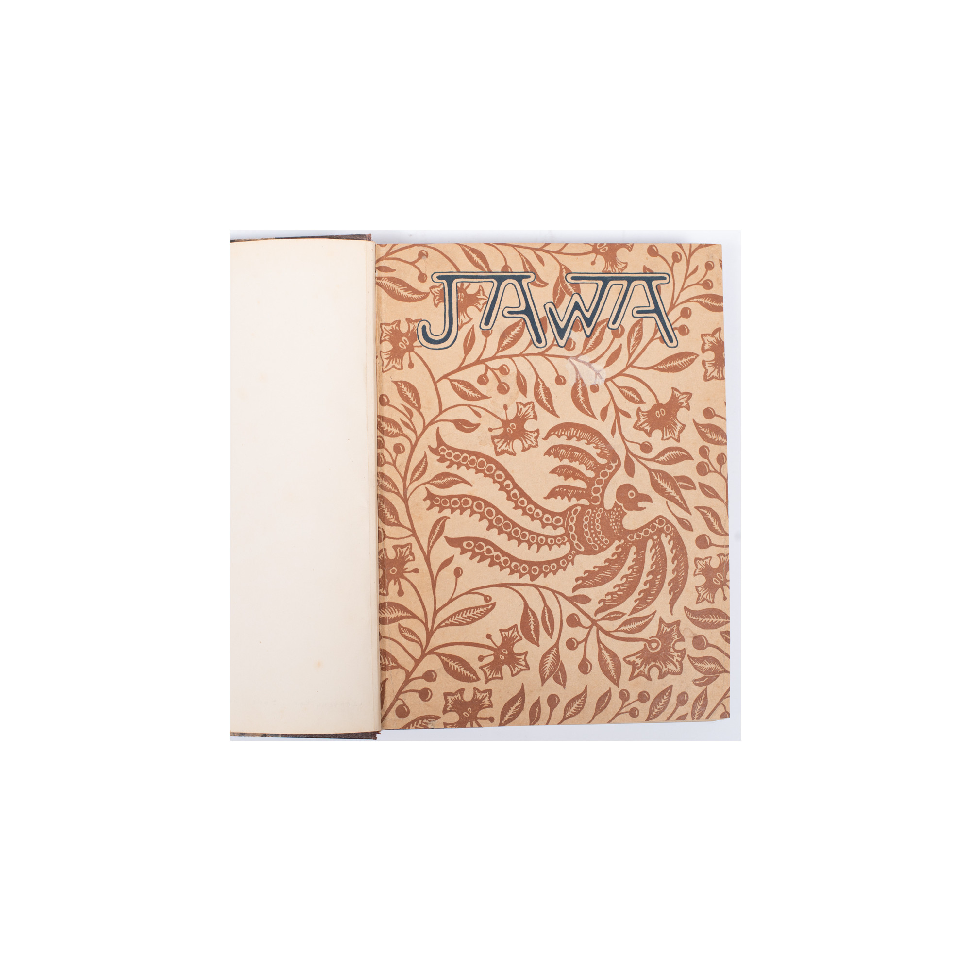 SIEDLECKI M., Jawa. Przyroda i sztuka, Warszawa-Kraków  1913