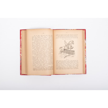 STIPAL M., Nauka jazdy konnej i tresura konia, Lwów 1896