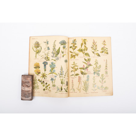 ARCT-GOLCZEWSKA M., Botanika na przechadzce. Część II. Wydanie II, Warszawa [1914]