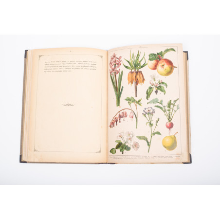 WERMIŃSKI F., Historia naturalna w obrazach. Botanika i mineralogia,  Warszawa 1893