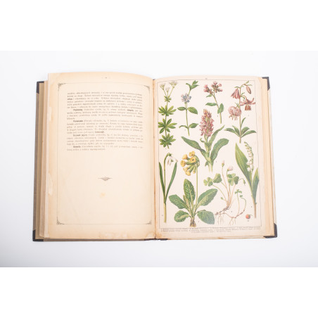 WERMIŃSKI F., Historia naturalna w obrazach. Botanika i mineralogia,  Warszawa 1893