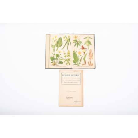 ARCT-GOLCZEWSKA M., Kwiaty wiosenne. 174 barwnych rycin na 40 rozciąganych tablic, Warszawa 