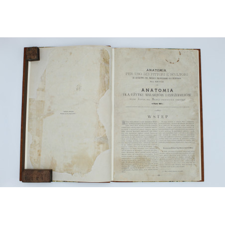 MEDICO J. del, Anatomia dla malarzów i rzeźbiarzów. Z włoskiego przeł. W. Gerson, Warszawa  1877