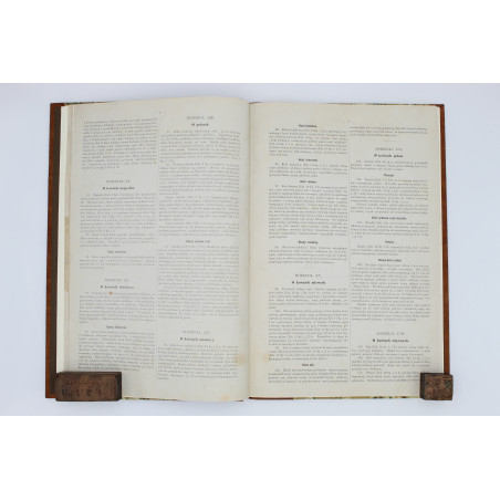 MEDICO J. del, Anatomia dla malarzów i rzeźbiarzów. Z włoskiego przeł. W. Gerson, Warszawa  1877
