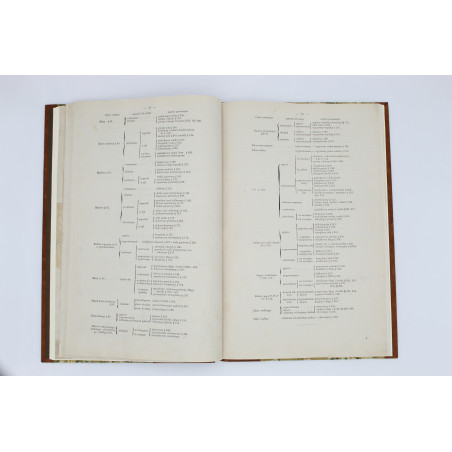 MEDICO J. del, Anatomia dla malarzów i rzeźbiarzów. Z włoskiego przeł. W. Gerson, Warszawa  1877