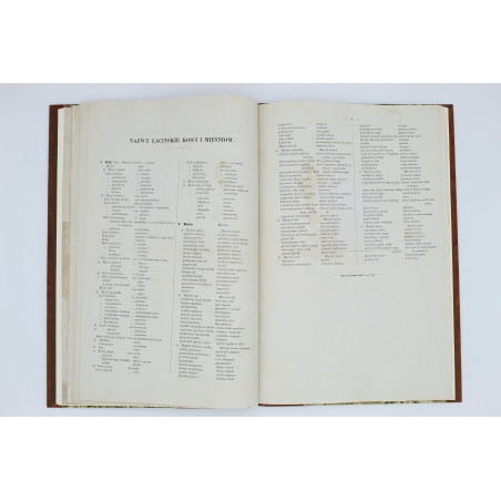 MEDICO J. del, Anatomia dla malarzów i rzeźbiarzów. Z włoskiego przeł. W. Gerson, Warszawa  1877