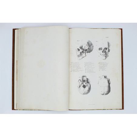 MEDICO J. del, Anatomia dla malarzów i rzeźbiarzów. Z włoskiego przeł. W. Gerson, Warszawa  1877