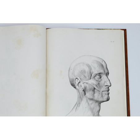 MEDICO J. del, Anatomia dla malarzów i rzeźbiarzów. Z włoskiego przeł. W. Gerson, Warszawa  1877
