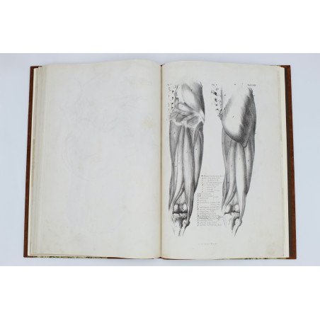 MEDICO J. del, Anatomia dla malarzów i rzeźbiarzów. Z włoskiego przeł. W. Gerson, Warszawa  1877