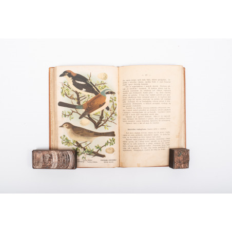 DYAKOWSKI B., Ptaki pożyteczne naszych lasów, pól i ogrodów, Warszawa  1915