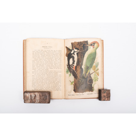 DYAKOWSKI B., Ptaki pożyteczne naszych lasów, pól i ogrodów, Warszawa  1915