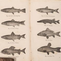 GAWARECKI Z., KOHN A., Polskie stawowe gospodarstwo. Opisanie porządku stawowego, Warszawa 1860