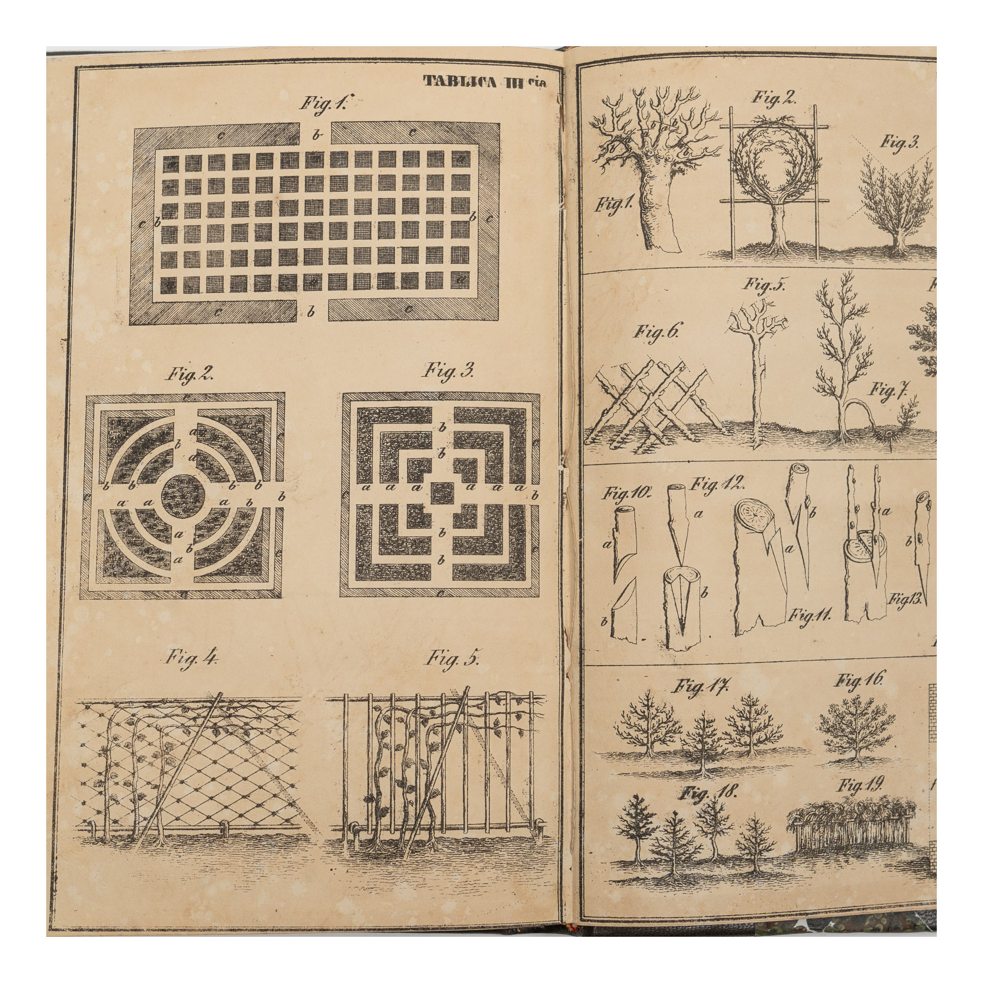 [GIŻYCKI K.], Ogrodnictwo zastosowane do potrzeb ziemianina polskiego, Lwów 1845