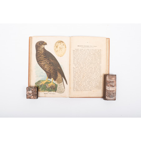 DYAKOWSKI B., Ptaki pożyteczne naszych lasów, pól i ogrodów, Warszawa  1915