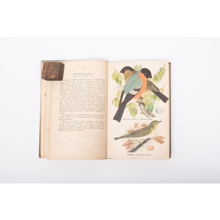 DYAKOWSKI B., Ptaki pożyteczne naszych lasów, pól i ogrodów, Warszawa  [1915]