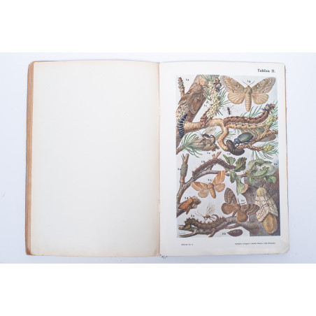 WYROBEK E., Ważniejsze owady krajowe i zagraniczne, tudzież łatwy klucz do ich oznaczania, Lwów 1910