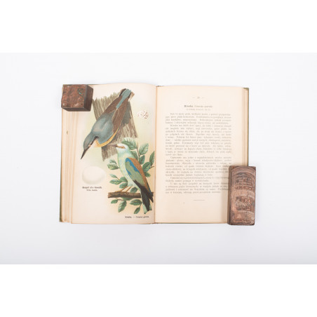 DYAKOWSKI B., Ptaki pożyteczne naszych lasów, pól i ogrodów, Warszawa  [1915]